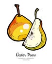 Pears fruits vector isolate. Red pear whole chopped quarter slice hand drawn illustration vegetarian icon logo sketch Royalty Free Stock Photo