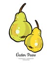 Pears fruits vector isolate Yellow green whole pear Fruit hand drawn illustration food vegetarian sweet icon logo sketch