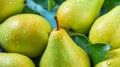 Pears, large group, background, close-up, top view. Ai. Generative AI Royalty Free Stock Photo