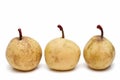 Pears on line Royalty Free Stock Photo