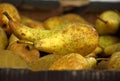 Pears in the market