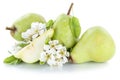 Pears pear green fresh fruit fruits isolated on white Royalty Free Stock Photo