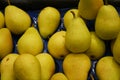 Pears - Pere Coscia Romagna - Mercato Orientale, Genoa, Italy