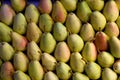 Pears Pile Royalty Free Stock Photo