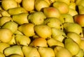 Pears on pile Royalty Free Stock Photo