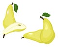 Pears Raster illustration. Whole pear and a half conference pear fruit on white background