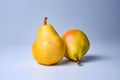 pears. Two whole yellow green pear fruits  on white with clipping path Royalty Free Stock Photo