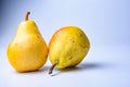 pears. Two whole yellow green pear fruits  on white with clipping path Royalty Free Stock Photo