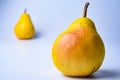 pears. Two whole yellow green pear fruits  on white with clipping path Royalty Free Stock Photo