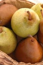 Pears vert Royalty Free Stock Photo