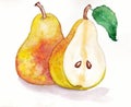 Pears watercolor illustration. Sectional pear, slice. Two fruits. Ripe, yellow fruit with seeds. Freehand drawing on