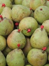 Pears with wax on the stem