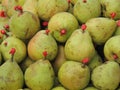 Pears with wax on the stem