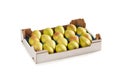 Pears in White Cardboard Box Ã¢â¬â Green Fruit Italian Cultivar `Pera Coscia` Pyrus Communis Arranged, Ordered in Fruit Market Carto Royalty Free Stock Photo