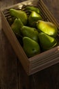 Pears on a wooden background. Fruit harvest. Autumn still life. Pear variety Bera Conference Royalty Free Stock Photo