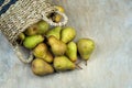 Pears on a wooden background. Fruit harvest. Autumn still life. Pear variety Bera Conference. Royalty Free Stock Photo