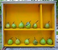 Pears in a yellow Drawer