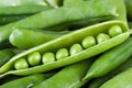 Peas_01