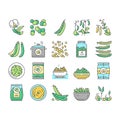 Peas Beans Vegetable Collection Icons Set Vector .