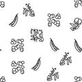 Peas Beans Vegetable Vector Seamless Pattern