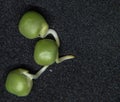 Peas are botanically fruits but are treated as vegetables in cooking