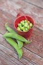 Peas in a bucket Royalty Free Stock Photo