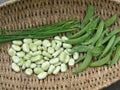 Peas, fava beans and chives