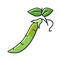 peas green color icon vector illustration