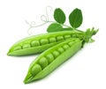 Peas isolated. Open pea pods with pea leaves on a white background. Royalty Free Stock Photo