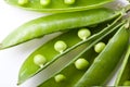 Peas isolated on White Royalty Free Stock Photo