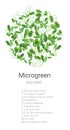 peas microgreen salad