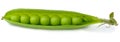 Peas in a pod Royalty Free Stock Photo