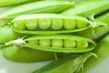 Peas in a Pod . object isolated on a white background Royalty Free Stock Photo