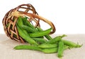 Peas pods Royalty Free Stock Photo