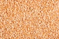 Peas texture, background Royalty Free Stock Photo