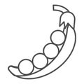 Peas thin line icon. Vegetable vector illustration isolated on white. Bean outline style design, designed for web and