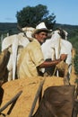 Peasant in Brazilian northeast, Brazil. Royalty Free Stock Photo