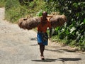 Peasant carrying rice sheaves