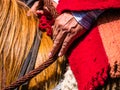 By peasant hands the reins of a horse fair