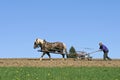 Farmer plowing with horse and plow, Germany Royalty Free Stock Photo