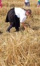 Peasant woman harvesting wheat with scythe