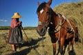 Peasant woman and mule Royalty Free Stock Photo