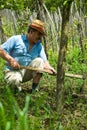 Peasant working his ground with onion Royalty Free Stock Photo