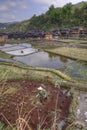 Peasant working in rice paddies near chinese ethnic minorities Royalty Free Stock Photo