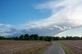 Peasantry with road, trees, fields and blue cloud sky. Location: Germany, North Rhine - Westphalia