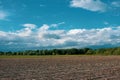 Peasantry with trees, fields and blue cloud sky