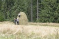 Peasants in field Royalty Free Stock Photo