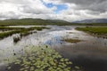Peat bog - County Mayo - Republic of Ireland