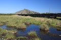 Peat bog at Giant mountains