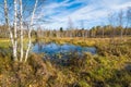 Peat bog in Les Ponts-de-Martel, canton of Neuchatel, Switzerland